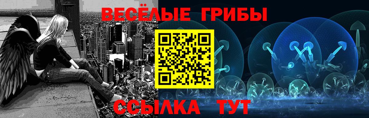 Галлюциногенные грибы Psilocybe Невинномысск